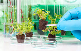 > </div>
<div class=